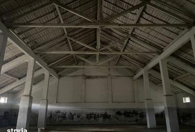 Spațiu comercial, de 18,246 mp, în Central - 6