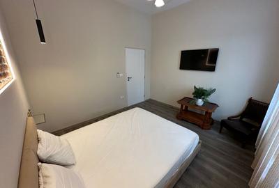 Casa Lipovei transformata in SAD - 14