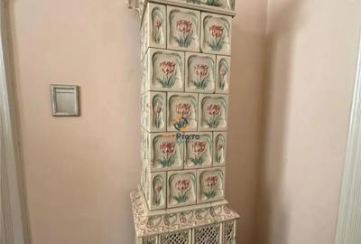 Casă cu 6 camere cu Teren 5000 Mp în Central - 15