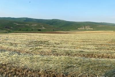 Teren de 14500 mp, în Cojocna - 3