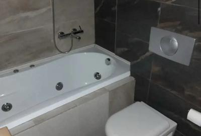 Apartament cu 2 camere ultracentral de inchiriat langa liceul Lenau Apartament cu 2 camere ultracentral de inchiriat langa liceul Lenau - 7