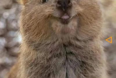 Garsonieră decomandată în Trivale - 8