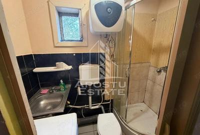 Apartament cu 1 camera, zona Buziasului - 4