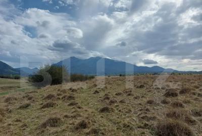 Teren de 10000 mp, în Central - 5