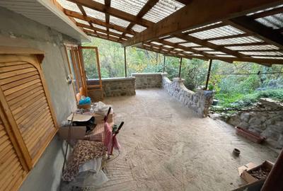 Casă cu 3 camere în Bulz - 1