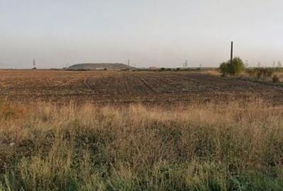 NOU! TEREN INTRAVILAN | LA LIMITA CU SEC 4 | OPORTUNITATI | JILAVA - 3