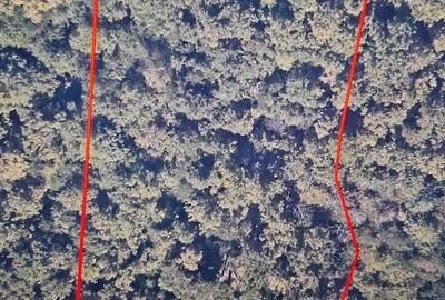 Spațiu comercial, în Central - 3