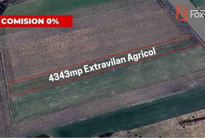 COMISION 0% Teren extravilan agricol, Utvin - 4343 mp - 1