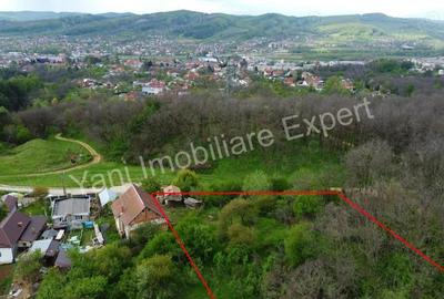 Teren de vanzare in Curtea de Arge?, strada Paune?ti. - 9