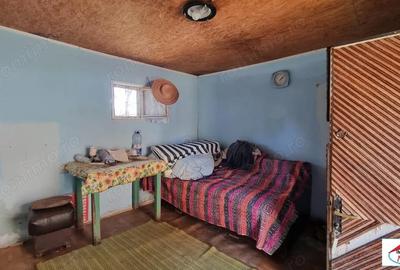 Teren de 1996 mp, în Viile Satu Mare - 2