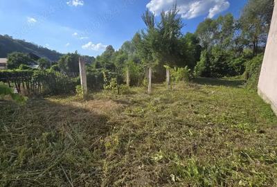 Re?i?a, casa cu teren 700 mp, pe malul Barzavei in cartierul Calnic - 1