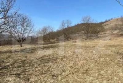 Teren de 20000 mp, în Central - 7