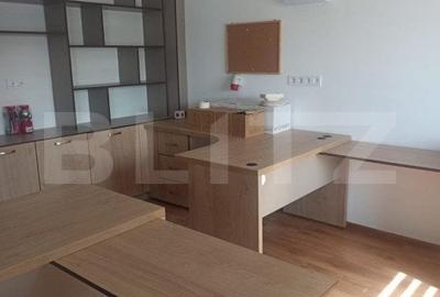 Repozitionare de pret! Proprietate Sangiorgiu 834mp ideal productie sau clinica. - 6