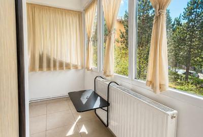Apartament cu 2 camere decomandat, mobilat în Răcădău - 13