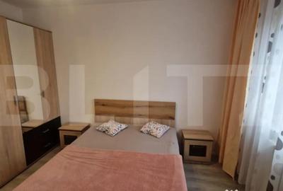 Apartament cu 3 camere decomandat, mobilat în Triaj - 14