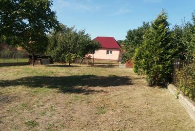 Casă cu 4 camere cu Teren 2082 Mp în Vadu Crișului - 3