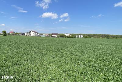 Teren de 1100 mp, în Moara Vlăsiei - 1
