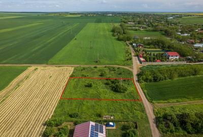 FRUMUSANI - POSTAVARI, TEREN 1500 MP, FRONT 30 M ! - 11