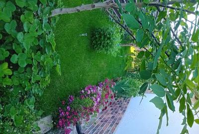 Casă cu 3 camere în Popești - 8