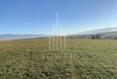 Teren de 650 mp, în Daia - 4