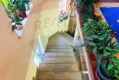 Casa de vanzare 170 mp, teren 1800 mp, Medias, cartier Vitrometan - 14