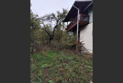 Casa Veche, Central Drajna de Jos 5000 mp Casa Veche, Central Drajna de Jos 5000 mp - 4