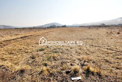 Teren  Intravilan 2.075 mp. 59.euro mp.Sangeorgiu de Mures - 5