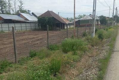 Casă în Fierbinții de Jos - 5