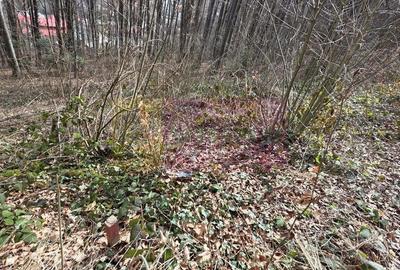 Spațiu comercial, în Central - 5