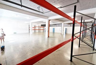 Spațiu industrial, de 500 mp, în Torontalului - 4