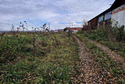 Teren constructie hala/depozit/mica insdustrie/service auto, Halchiu - 5