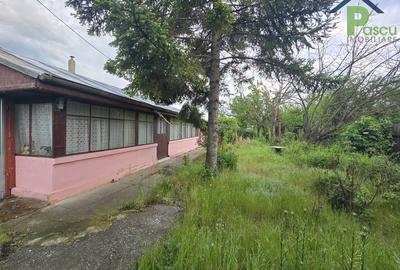 Calarasi, com. Sarulesti - 10