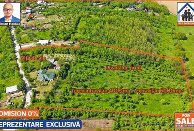 Casă individuală cu 4 camere cu Teren 10000 Mp în Podenii Vechi - 3