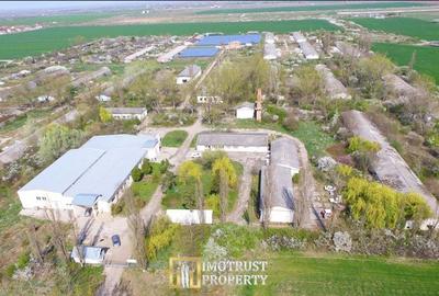 DE VANZARE –Teren Parc Industrial 18 ha cu Hale și Fotovoltaic – Arad - 1