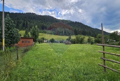 Casa 225 mp, teren intravilan 4822 mp C. Moldovenesc, Suceava - 28