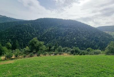 Vand teren la munte pentru cabana - 6