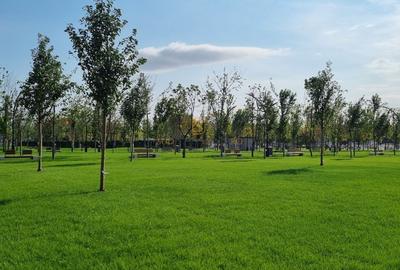 Apartament cu 2 camere decomandat în Apărătorii Patriei - 10