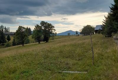 Teren Construcții intravilan de 2500 mp, în Piatra Fântânele - 1