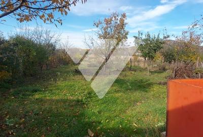 Casa singur in curte, 1100 mp curte libera, acces auto Gusterita Sibiu - 2