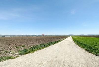 Teren Industrial - 3