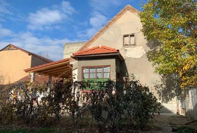 Casă cu 2 camere cu Teren 1007 Mp în Lipovei - 3