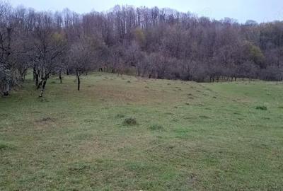 Teren în Valea - 1