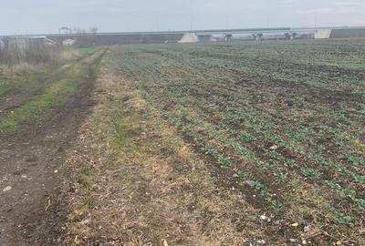 Teren Construcții intravilan de 22509 mp, în Tunari - 2