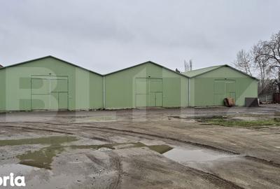 Spațiu comercial, de 1,500 mp, în Burdea - 3