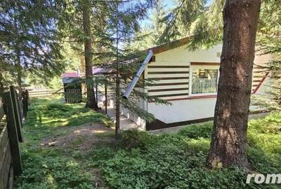 Casa de vacanta, 3 camere, teren 838 mp, 110 mp, Marisel - 17