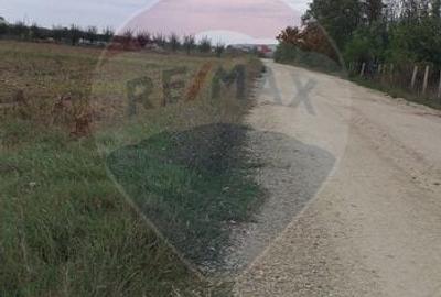Teren agricol extravilan de 3000 mp, în Sântion - 1