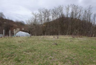 Spațiu comercial, în Central - 8