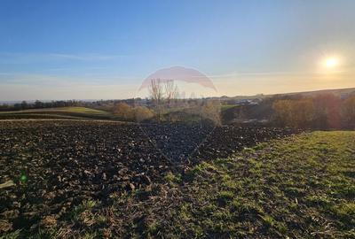 Teren agricol extravilan de 6100 mp, în Stroiești - 10