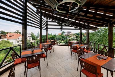 Casă individuală cu 11 camere cu Teren 1500 Mp în Drumul Poienii - 3