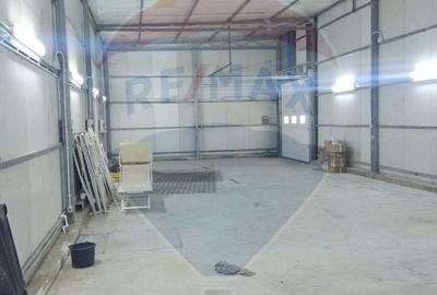 Spațiu industrial, de 160 mp, în Mirceștii Noi - 5